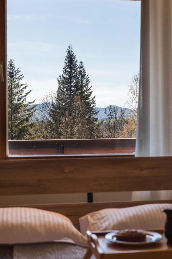 Apartament Cztery Tulipany 扎科帕内 外观 照片